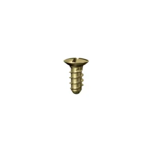 Mini Screw Cross Drive Self Tapping, Titanium